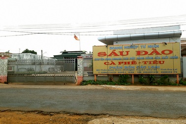 Vỡ nợ hơn 7 tỉ, nông dân “phát hoảng” đi tìm chủ thu mua nông sản