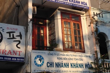 Xâm nhập “tập đoàn” trồng rừng đa cấp: Đánh thức lòng tham và ru ngủ niềm tin 