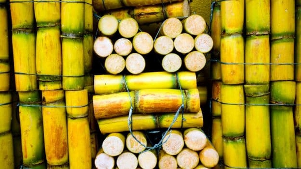 Nước mía - những ai nên và không nên uống - 1 Nước mía - những ai nên và không nên uống - 1