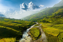 Sa Pa mùa vàng, ngập tràn lễ hội