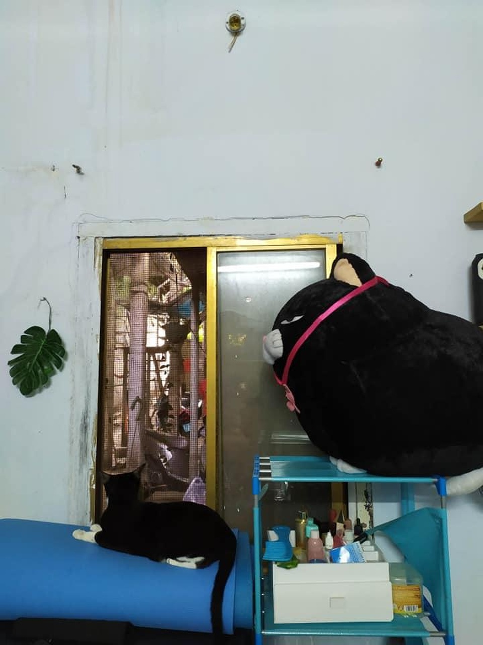 9x đầu tư 6 triệu đồng cải tạo phòng trọ, ai ngờ đẹp như homestay - 11 9x đầu tư 6 triệu đồng cải tạo phòng trọ, ai ngờ đẹp như homestay - 11