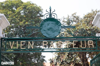 TPHCM xử lý vụ Viện Pasteur chìm trong biển quảng cáo