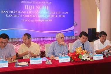 Lùi ngày tổ chức đại hội VFF, bầu Đức có thay đổi quyết định?