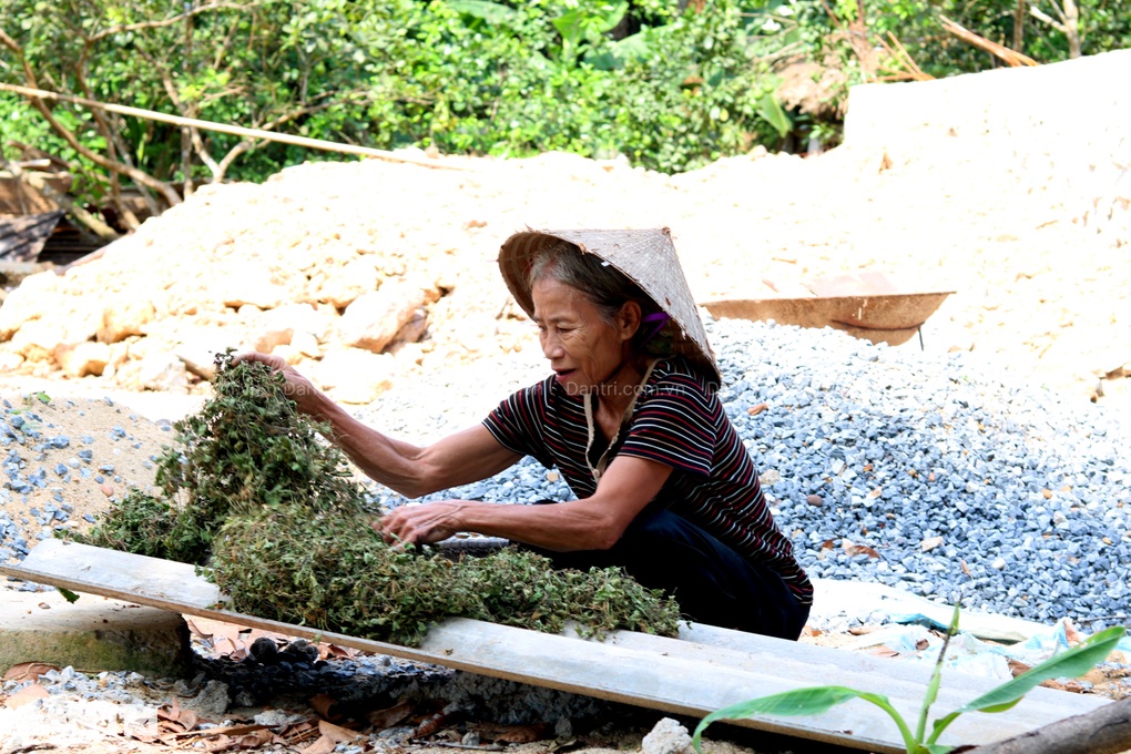 Cảnh đường cùng của vợ chồng già không con, bệnh tật trong mái tranh ọp ẹp - 2 Cảnh đường cùng của vợ chồng già không con, bệnh tật trong mái tranh ọp ẹp - 2