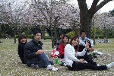 120 suất học bổng Chính phủ Nhật cho sinh viên Việt Nam