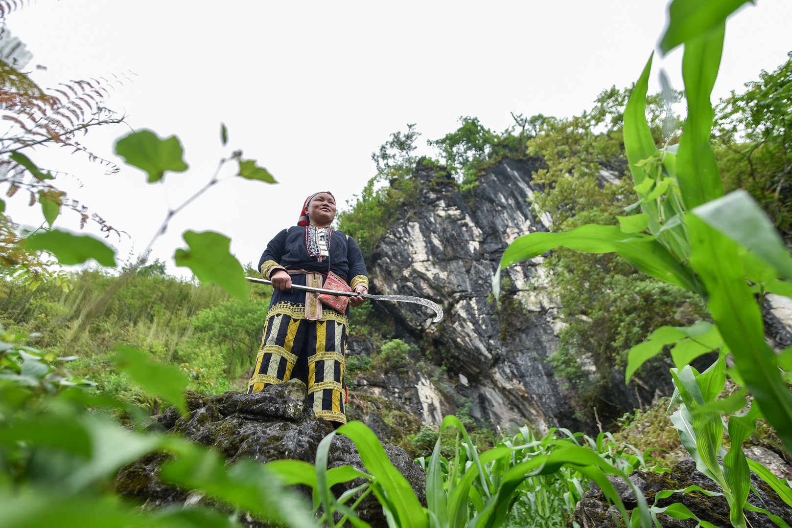 Băng rừng theo người Dao đỏ Sapa đi hái lá thuốc tắm thần dược - 1 Băng rừng theo người Dao đỏ Sapa đi hái lá thuốc tắm thần dược - 1