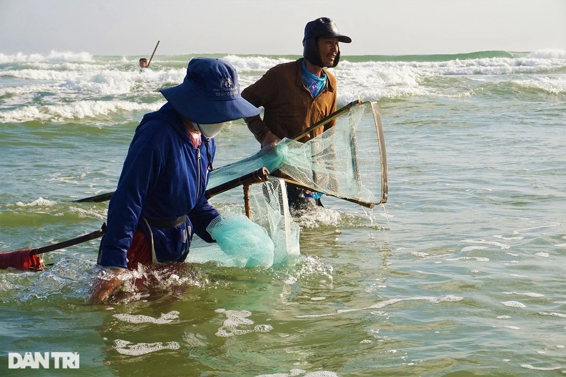 Cuối năm, ngư dân đi cào sản vật quý, kiếm nửa triệu mỗi ngày - 4 Cuối năm, ngư dân đi cào sản vật quý, kiếm nửa triệu mỗi ngày - 4
