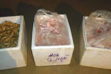 Đột kích lò chế biến mỡ động vật thối