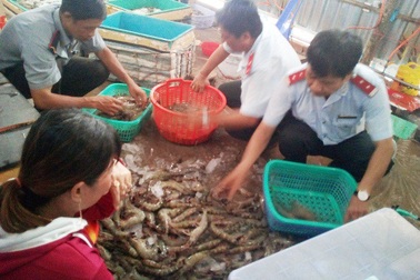 Bạc Liêu: Ngăn chặn hàng chục tấn tôm chứa tạp chất