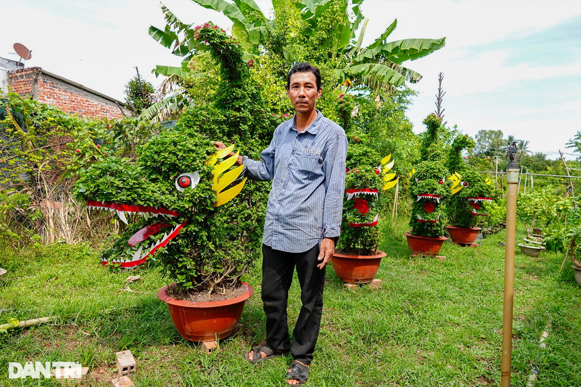 Making dragon mascots from kumquats and ornamental flowers, farmers sell one to make millions - 5