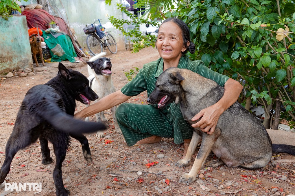 Cụ bà từng 3 nhà, về già tay trắng vẫn nhịn ăn nuôi đàn chó, mèo hoang - 1 Cụ bà từng 3 nhà, về già tay trắng vẫn nhịn ăn nuôi đàn chó, mèo hoang - 1