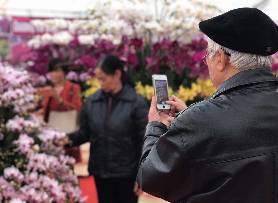 Bỏng tay với chậu lan Hồ điệp giá 165 triệu đồng cho đại gia chơi Tết - 10 Bỏng tay với chậu lan Hồ điệp giá 165 triệu đồng cho đại gia chơi Tết - 10