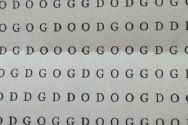 Đáp án câu đố tìm từ “dog” trong hình