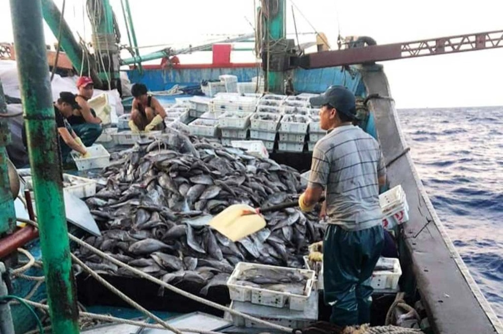 Tàu cá bị sóng biển đánh chìm, 8 ngư dân may mắn được cứu sống - 1 Tàu cá bị sóng biển đánh chìm, 8 ngư dân may mắn được cứu sống - 1