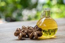 Khám phá những công dụng với sức khỏe của dầu hạt Sachi