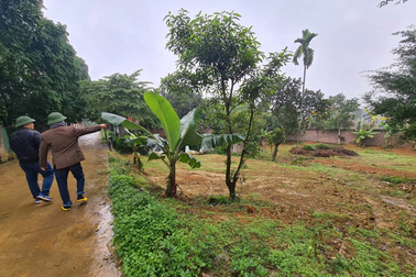 Hết Tết, nhà đầu tư rục rịch đi gom đất