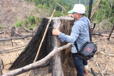 Kỷ luật nhiều cán bộ kiểm lâm liên quan vụ phá rừng phòng hộ Tiên Lãnh