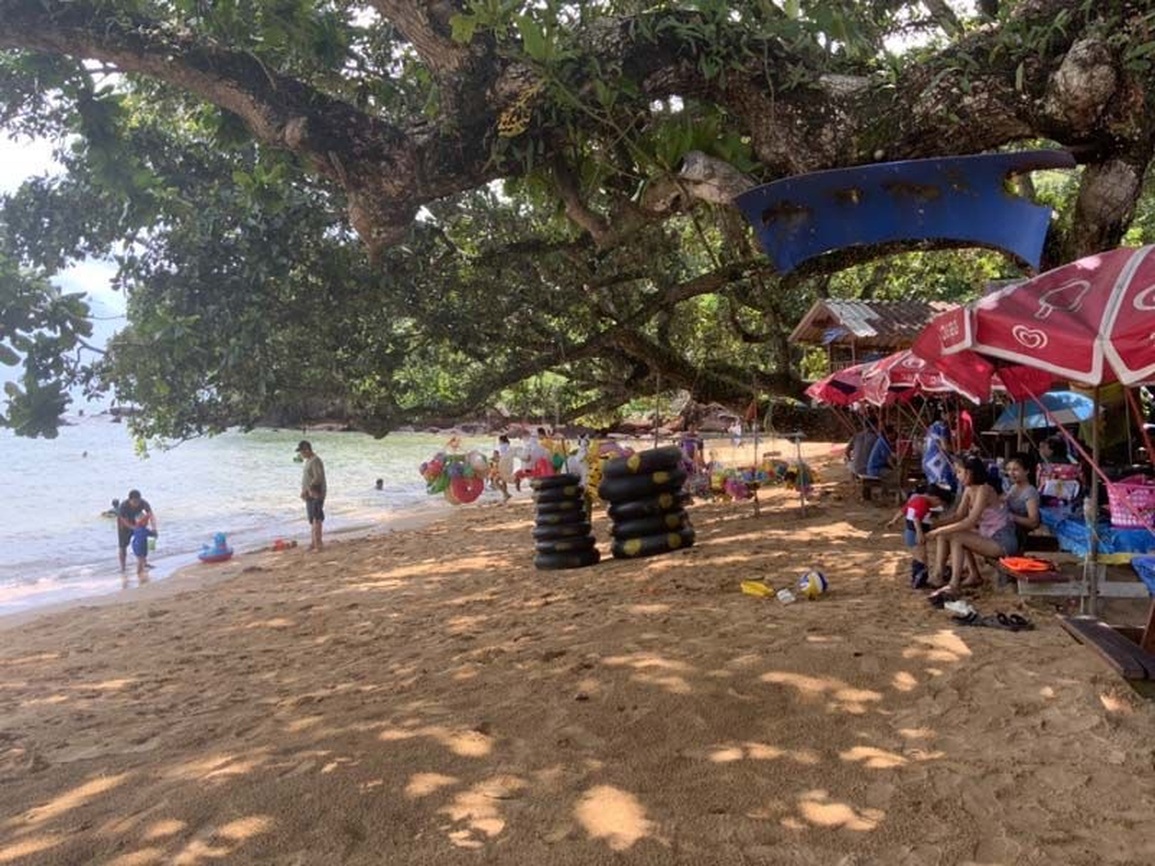 Cá nhái mỏ nhọn đâm thủng cổ du khách tắm biển - 3 Cá nhái mỏ nhọn đâm thủng cổ du khách tắm biển - 3