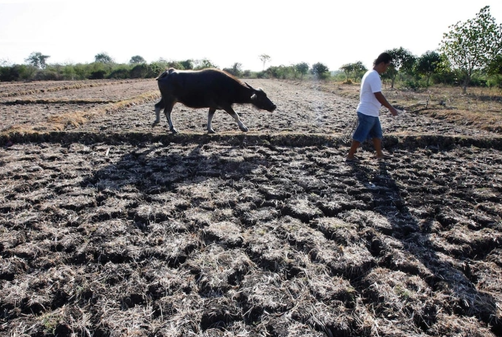 Khoa học cảnh báo mùa đông dị thường do tác động của El Nino - 3 Khoa học cảnh báo mùa đông dị thường do tác động của El Nino - 3