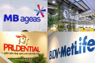 4 công ty bảo hiểm phải bổ sung hàng trăm tỷ đồng do hạch toán sai