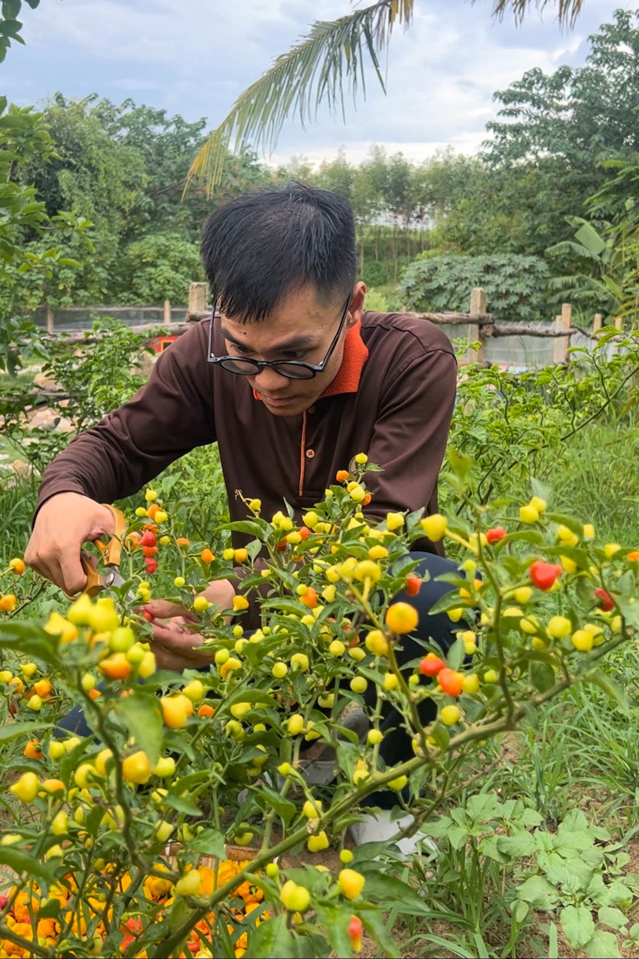 Thạc sĩ bỏ việc lương nghìn USD về quê khởi nghiệp với hơi thở của rồng - 2 Thạc sĩ bỏ việc lương nghìn USD về quê khởi nghiệp với hơi thở của rồng - 2