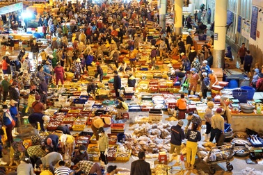 Đà Nẵng: Trắng đêm ở cảng cá lớn nhất miền Trung