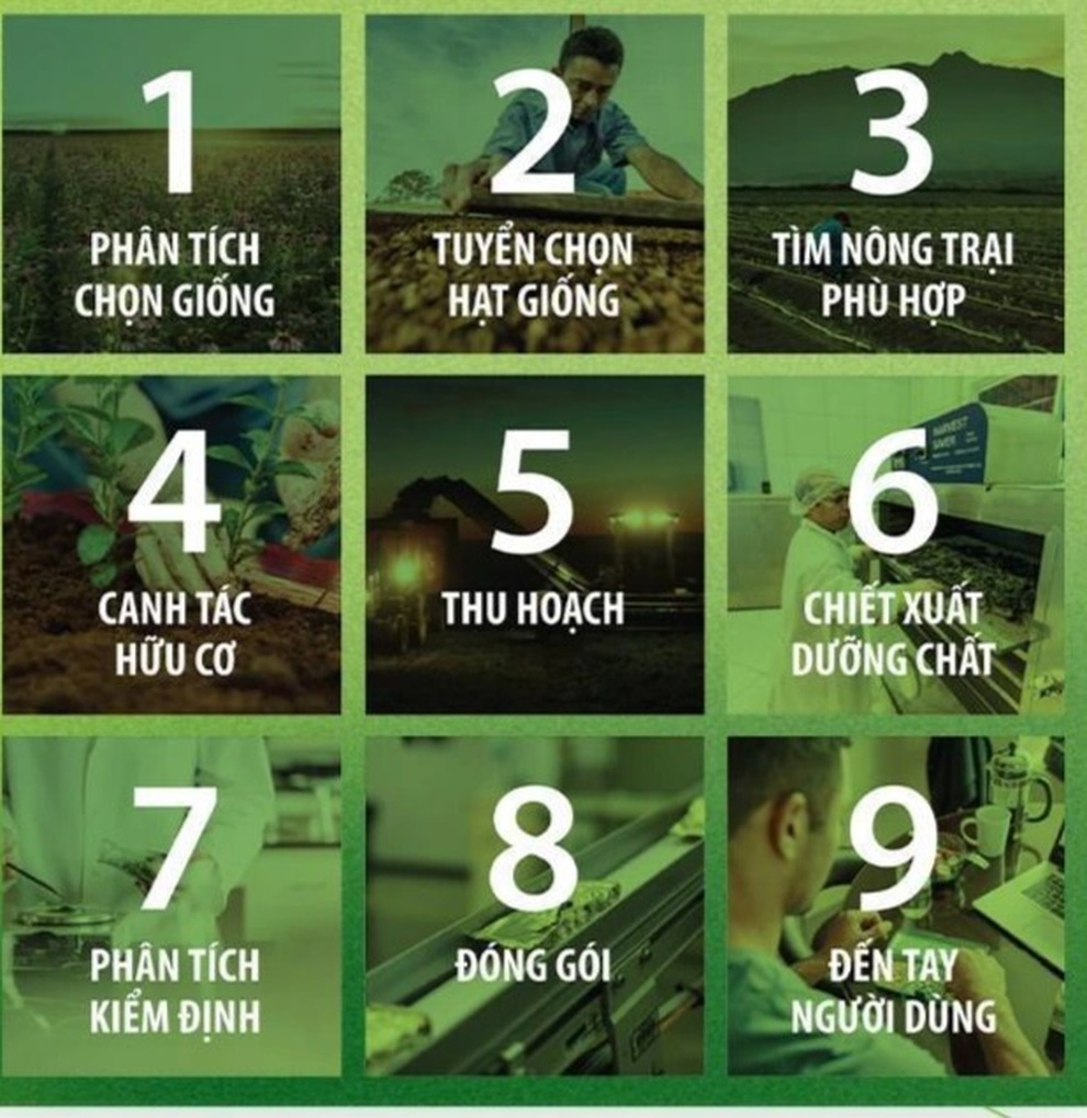 Chủ động tăng cường sức đề kháng toàn diện cùng Nutrilite - 2 Chủ động tăng cường sức đề kháng toàn diện cùng Nutrilite - 2