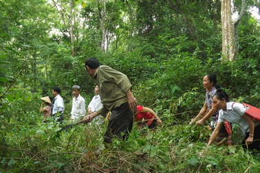 Người dân miền núi sống giữa mênh mông rừng vẫn thiếu đất