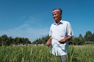 Sau gạo ngon nhất thế giới, Việt Nam sắp ra mắt gạo dược liệu ngừa bệnh tật