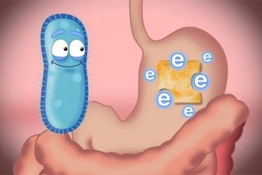 Bảo bối đối phó viêm đại tràng co thắt của người Nhật