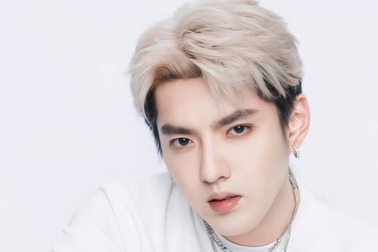 Ngô Diệc Phàm bị tuyên án 13 năm tù