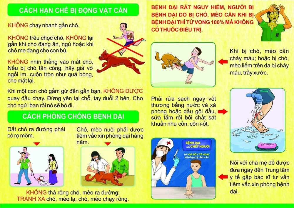 ảnh minh họa cách phòng chống bệnh dại.jpg ảnh minh họa cách phòng chống bệnh dại.jpg