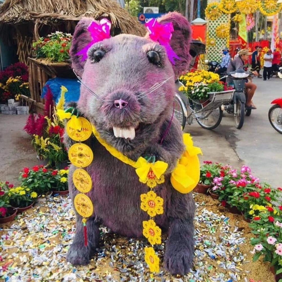 Phì cười với loạt linh vật có vẻ mặt ngờ nghệch, hờn cả thế giới - 7 Phì cười với loạt linh vật có vẻ mặt ngờ nghệch, hờn cả thế giới - 7