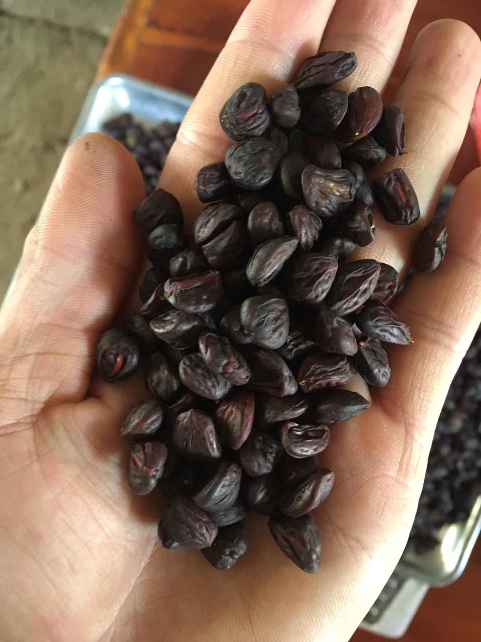 Độc đáo gia vị “hạng sang” ở Tây Bắc, nhà giàu tìm mua làm “của ăn dè” - 2 Độc đáo gia vị “hạng sang” ở Tây Bắc, nhà giàu tìm mua làm “của ăn dè” - 2