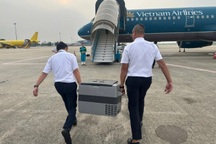 Máy bay lùi giờ để hộ tống trái tim mang sứ mệnh thắp lên cuộc đời mới