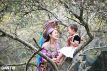 Lạc vào thung lũng hoa mận đẹp mê hồn ở Nghệ An