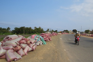 Chuyện lạ ở Phú Yên: Tranh nhau mua…phân bò
