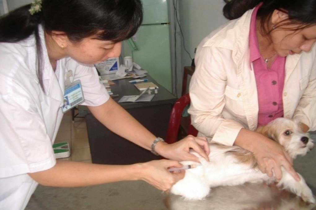 Nơi duy nhất ở Việt Nam có vùng an toàn dịch bệnh dại cấp tỉnh - 1 Nơi duy nhất ở Việt Nam có vùng an toàn dịch bệnh dại cấp tỉnh - 1