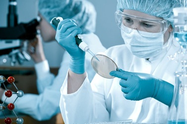 Nọc độc của nhện sẽ giúp các nhà khoa học bảo vệ tế bào não khỏi bị tổn thương?