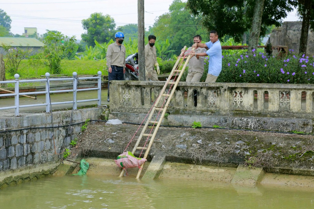 Hơn 100 xác lợn chết xuất hiện trên kênh, mương thủy lợi - 2 Hơn 100 xác lợn chết xuất hiện trên kênh, mương thủy lợi - 2