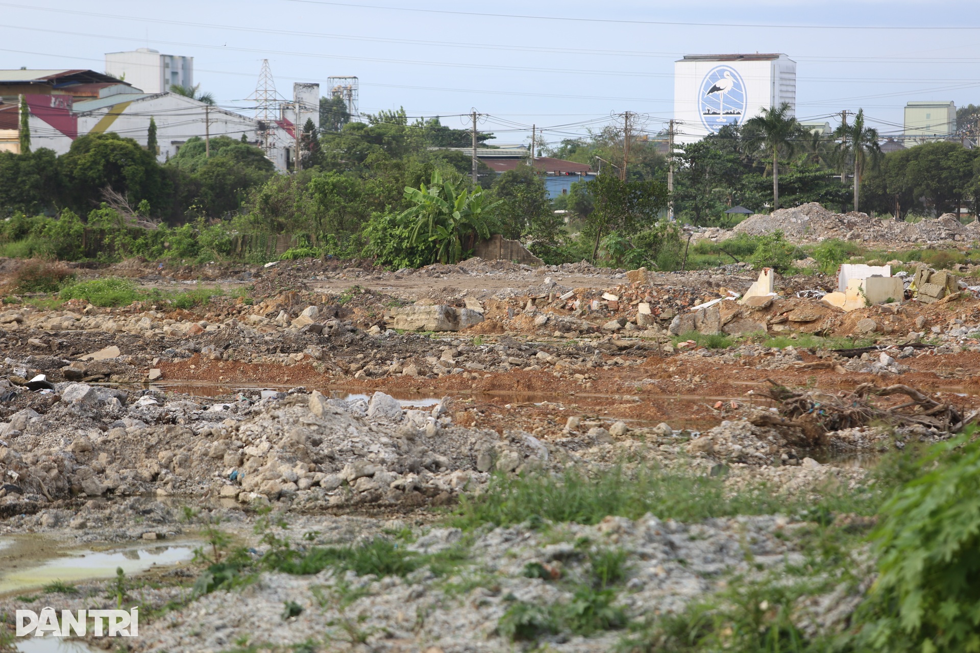 Hiện trạng khu đất vàng cạnh sông Đồng Nai và quốc lộ 1 sắp đấu giá - 4 Hiện trạng khu đất vàng cạnh sông Đồng Nai và quốc lộ 1 sắp đấu giá - 4