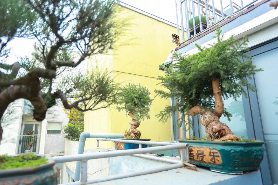 Choáng ngợp căn penthouse với sân vườn ngập cây xanh của doanh nhân Hà Nội - 7 Choáng ngợp căn penthouse với sân vườn ngập cây xanh của doanh nhân Hà Nội - 7