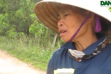 Trại lợn công nghệ cao gây ô nhiễm môi trường