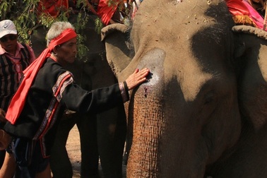 Đặc sắc lễ cúng bến nước và cúng sức khỏe cho voi tại Buôn Đôn