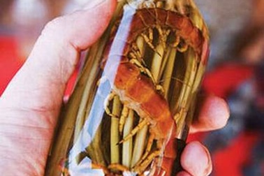 Tuỳ tiện dùng thuốc nam: Luôn xảy ra tai biến