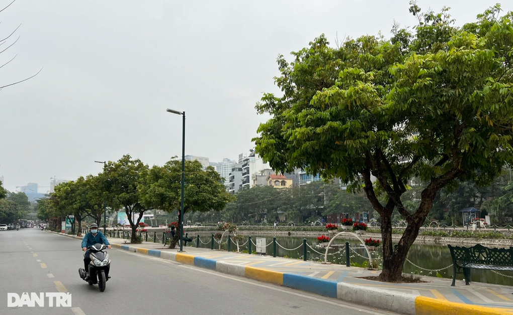 Sở Xây dựng Hà Nội nói về đề nghị di chuyển 55 cây ở phố Vũ Tuấn Chiêu - 2 Sở Xây dựng Hà Nội nói về đề nghị di chuyển 55 cây ở phố Vũ Tuấn Chiêu - 2