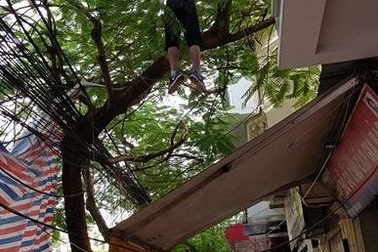 Người đàn ông Hàn Quốc chết trong tư thế treo cổ trên đường phố Hải Phòng