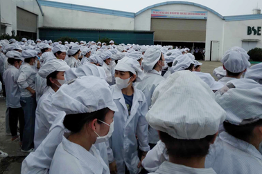 Hàng trăm công nhân điện tử ngừng việc khi được phát bao tay đi... dọn cỏ