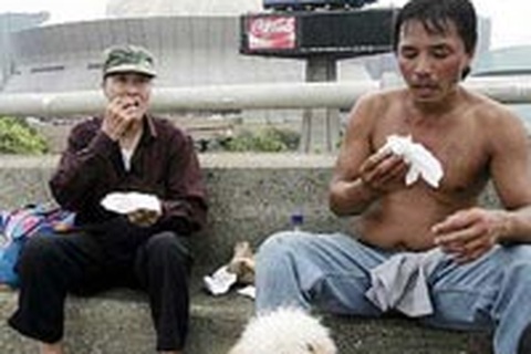 Cộng đồng người Việt gặp khó khăn do không biết tiếng Anh  