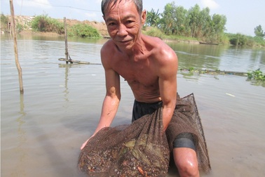 Cào hến kiếm 1 triệu đồng/ngày 